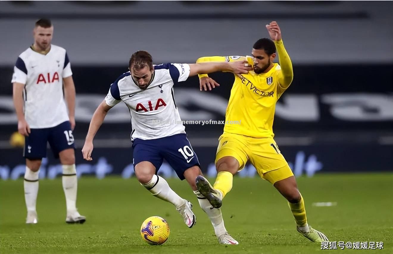 南安普顿连败遭受质疑,英超联赛排名下滑 南安普顿连败遭受质疑,英超联赛排名下滑