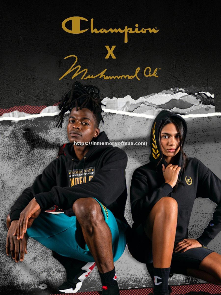 欧洲预选赛决赛胜者成就传奇,荣耀与梦想同在 欧洲预选赛决赛胜者成就传奇,荣耀与梦想同在