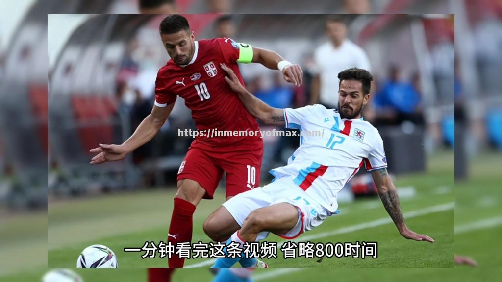 保加利亚队在欧预赛中险胜瑞士,晋级悬 保加利亚队在欧预赛中险胜瑞士,晋级悬