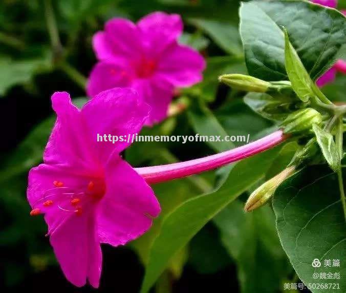 星空体育-传奇球星回首往昔，感慨万千