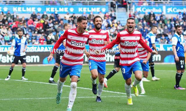 篮网逆转胜森林狼，主力球员表现出色稳固战绩