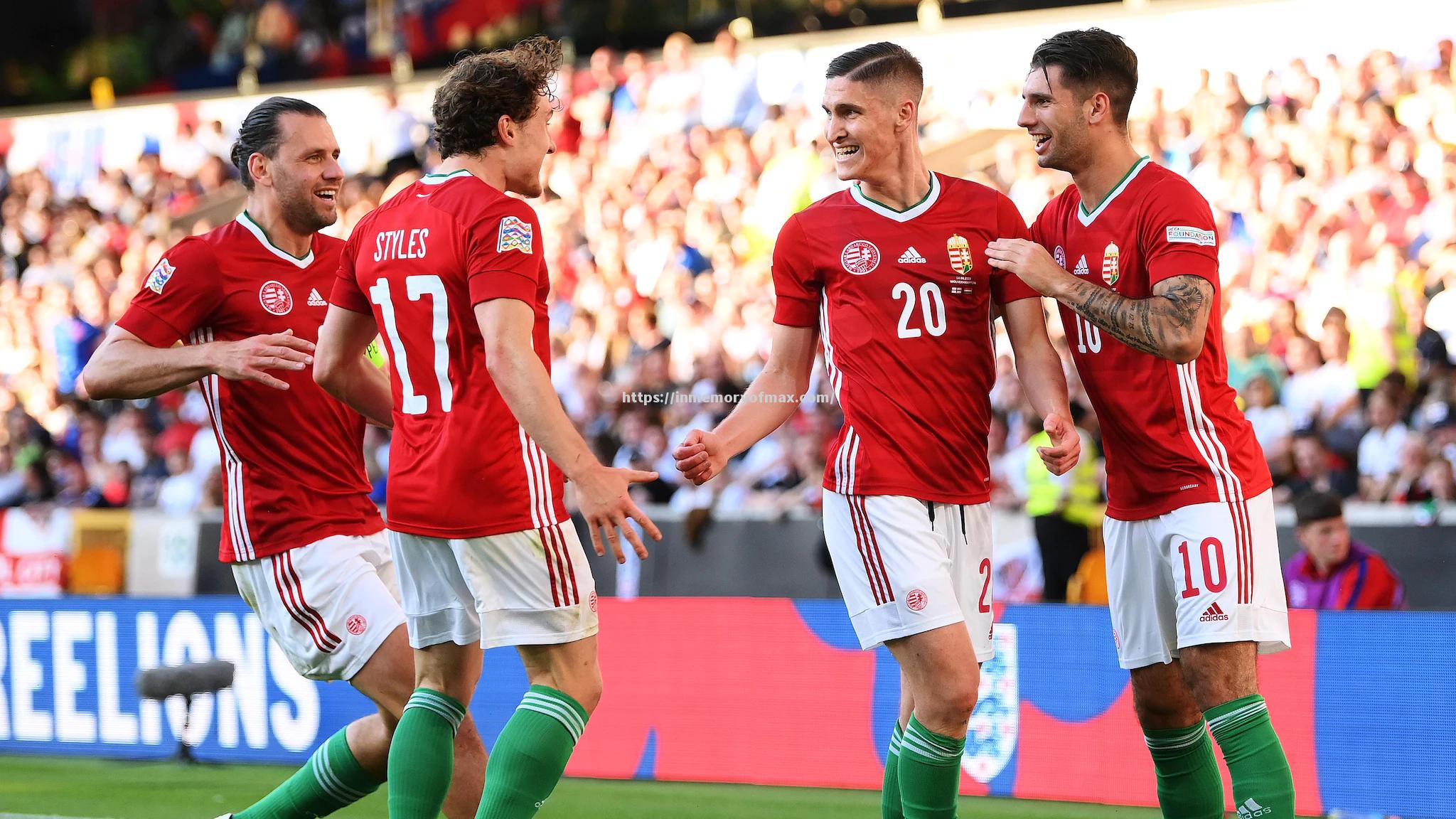 尼斯主场告捷,保级形势略有好转 尼斯主场告捷,保级形势略有好转