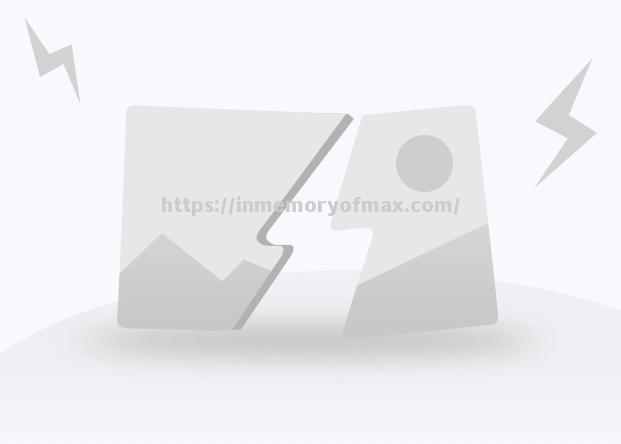 北马其顿国家队球员集结备战欧预赛 北马其顿国家队球员集结备战欧预赛